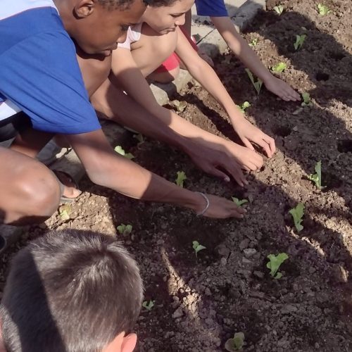 IMG_20250819_150633682_HDR