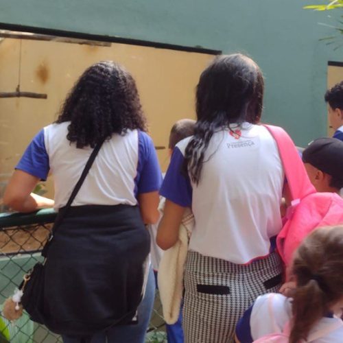 photo_6_2025-11-25_14-33-36